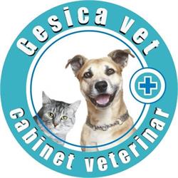 Gesica Vet&Co service, Bucureşti program de funcționare