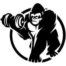 Gorilla Sports Romania, Ploieşti program de funcționare
