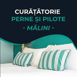 Curatatorie perne si pilote Malini, program de funcționare