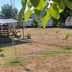 LAZY Camping, Greci program de funcționare