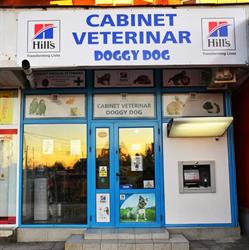 Doggy Dog, Baia Mare program de funcționare