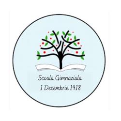 Scoala Primara 1 Decembrie 1918 Alba Iulia, program de funcționare