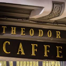 Theodor Caffe, Craiova program de funcționare