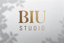 BIU Studio, Timişoara program de funcționare