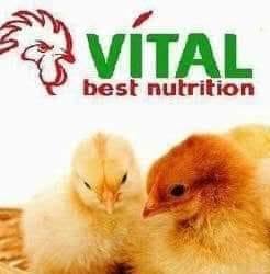 Vítal Best Nutrition, Craiova program de funcționare