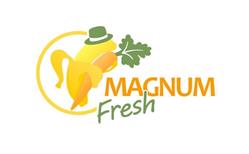 Magnum Fresh, Timişoara program de funcționare