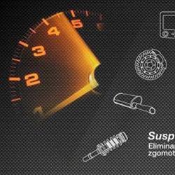 Paddock Service Auto, Timişoara program de funcționare