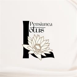 Pensiunea Lotus, Bogata program de funcționare