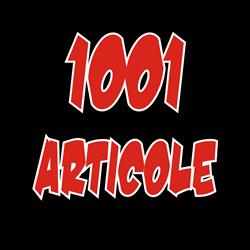 Magazinele 1001 Articole, Petroşani program de funcționare