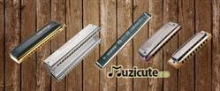 Muzicute, Suceava program de funcționare