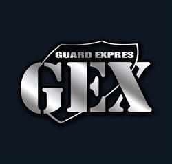 Gex Guard, Reghin program de funcționare
