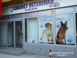 Cabinet Veterinar Dailvet Profesional, Ploieşti program de funcționare