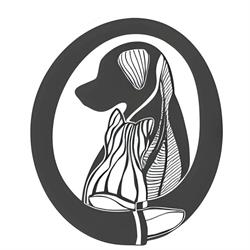 PhysioVet, Oradea program de funcționare