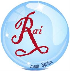 RAI Clean Service, Arad program de funcționare
