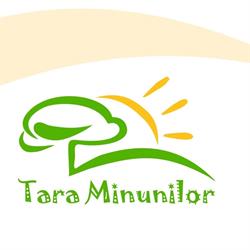 Ţara Minunilor, Cluj-Napoca program de funcționare