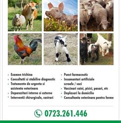 Cabinet Veterinar Berca, program de funcționare