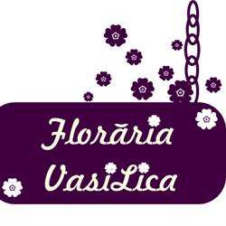 Floraria VasiLica, Bucureşti program de funcționare