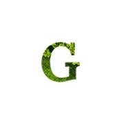 Gazonul verde, Chitila program de funcționare