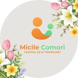 Asociaţia Micile Comori, Timişoara program de funcționare