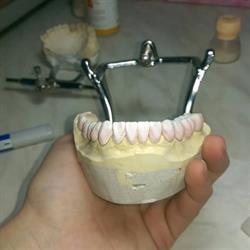 GM Tehnical Dent, Craiova program de funcționare