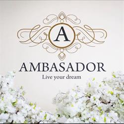 Ambasador Oradea, program de funcționare