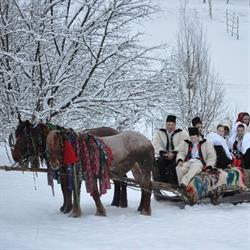 Cabana Iza Maramures Barsana, program de funcționare
