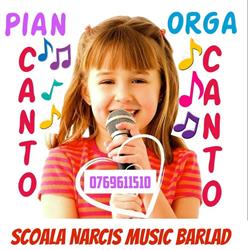 Scoala Narcis Music Barlad, program de funcționare