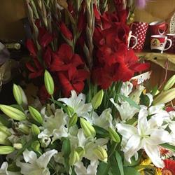 Orchidea Virág- és Ajándéküzlet, Zetea program de funcționare