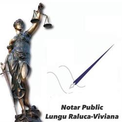 Lungu Raluca-Viviana, Motru program de funcționare