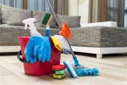 DOINA CLEANER S.R.L., Dancu program de funcționare