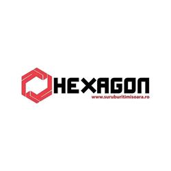 HEXAGON OA SRL, Ghiroda program de funcționare