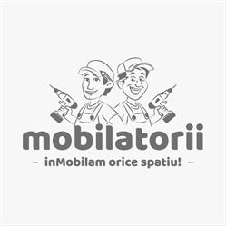 Mobilatorii, Bragadiru program de funcționare