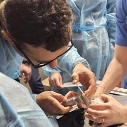 Cabinet medical veterinar Dr. Traian Boţoiu, Alba Iulia program de funcționare
