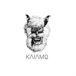 KAIAMO, Bucureşti program de funcționare