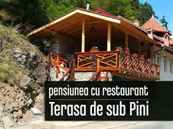Pensiunea Pantilimon si Restaurant, Răşinari program de funcționare