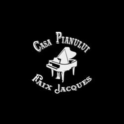 Casa Pianului - Jacques Faix, Arad program de funcționare
