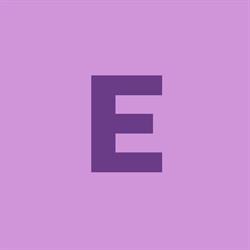 eDepozit, Bascov program de funcționare