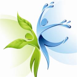 Gambrinus SRL, Satu Nou program de funcționare
