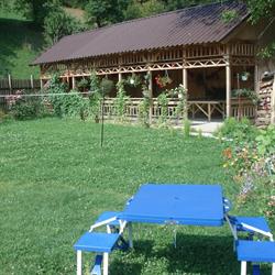 Casa Dalia, Bran program de funcționare