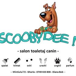 ScoobyDee Groom, Gherla program de funcționare
