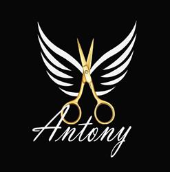 Antoni Salon, Bucureşti program de funcționare