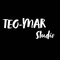Teo-Mar Studio, Lumina program de funcționare