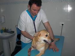 FuniVet, Giurgiu program de funcționare