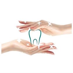 Dr.Voaides Carmen-Ancuta, Urecheni program de funcționare