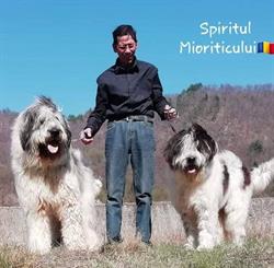 Spiritul Mioriticului Kennel, Orlea program de funcționare