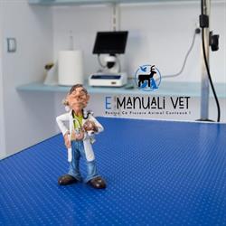 Emanuali Vet Cabinet Medical Veterinar & Farmacie Veterinara, Odoreu program de funcționare