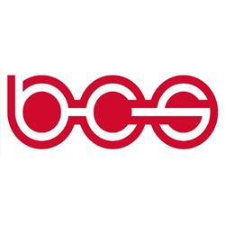BCS Automotive Interface Solutions Romania, Remetea Mare program de funcționare