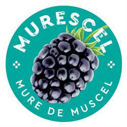 Murescel, Câmpulung program de funcționare