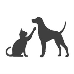 ORILD VET, Marghita program de funcționare
