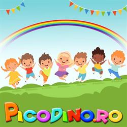 Picodino.ro, Bucureşti program de funcționare